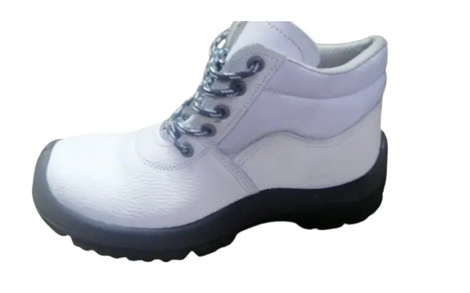 WhatsApp_Image_2026-01-06_at_9.14.13_PM-removebg-preview